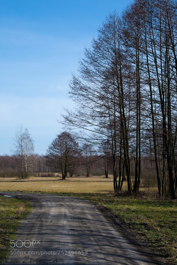 Nikon D7200 sample photo. Untitled photography