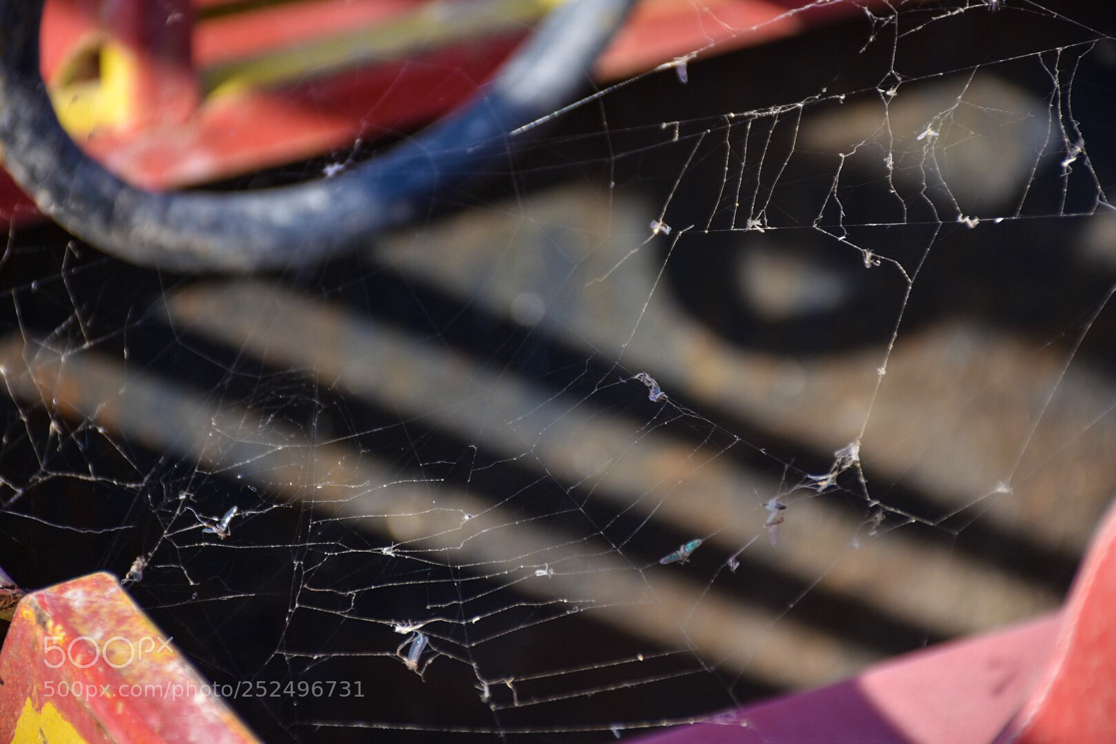 Nikon D7200 sample photo. Untitled photography