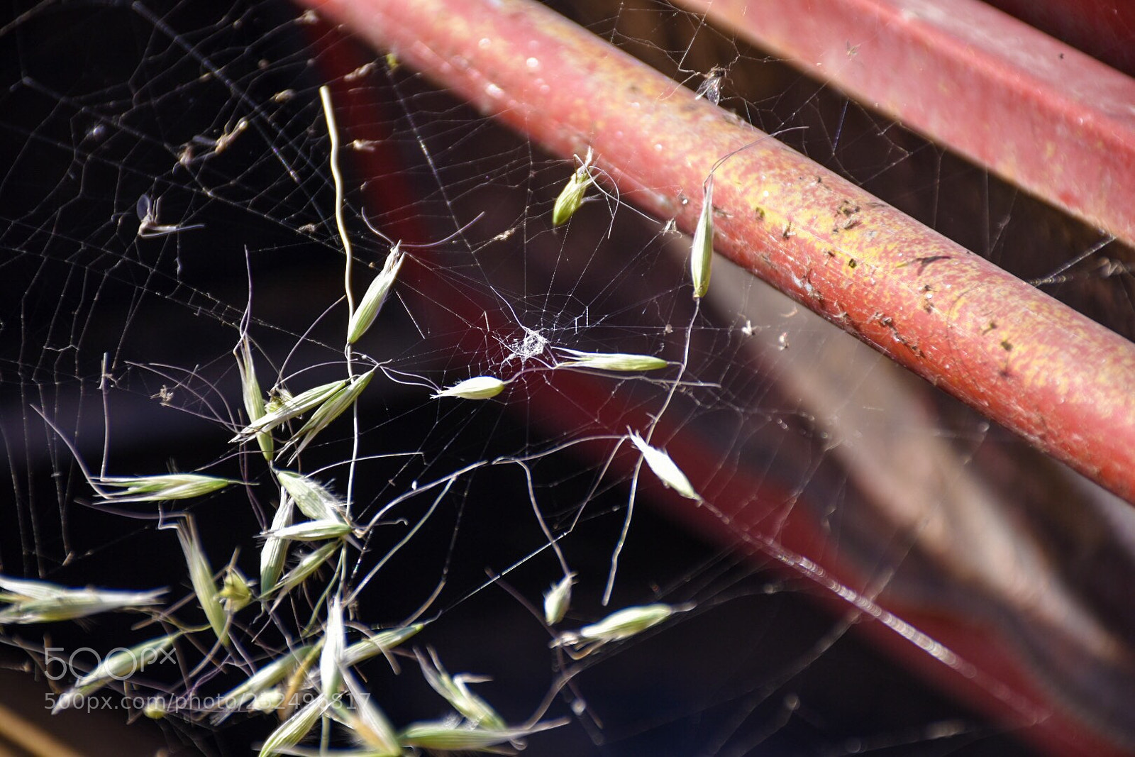 Nikon D7200 sample photo. Untitled photography