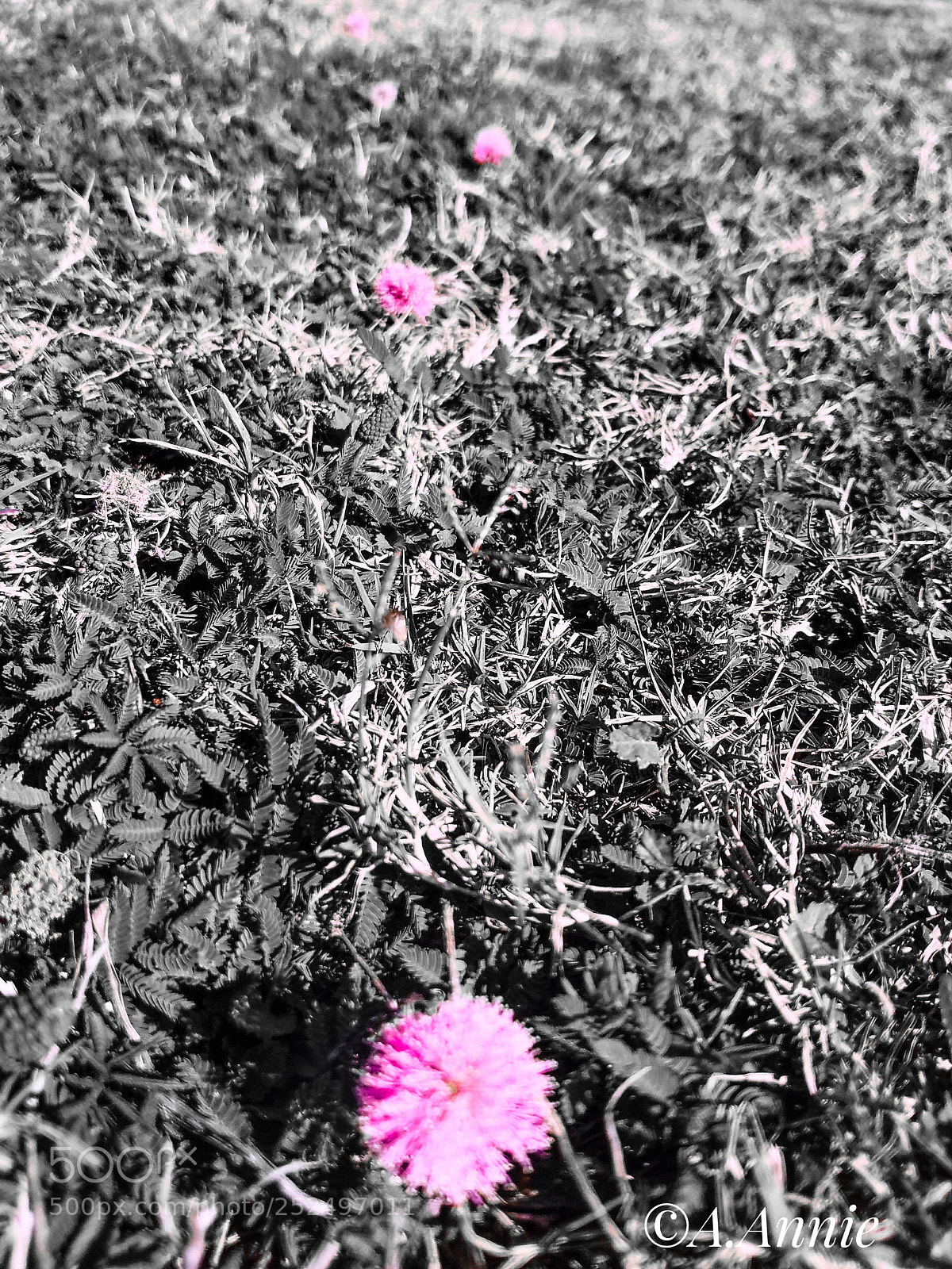 Samsung Galaxy S7 sample photo. Spring photography