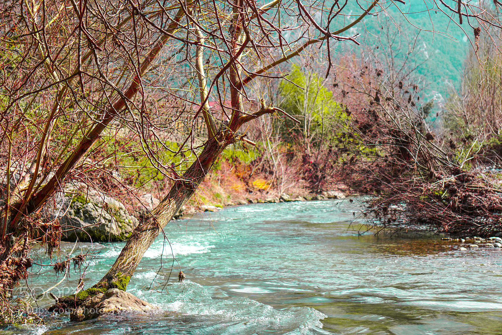 Sony a6000 sample photo. Dsc photography