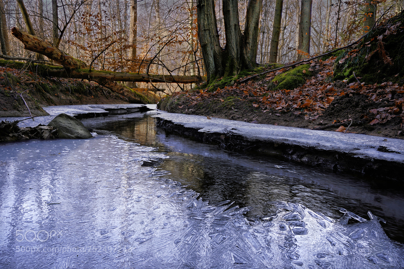 Sony a6500 sample photo. Winter at the stream photography