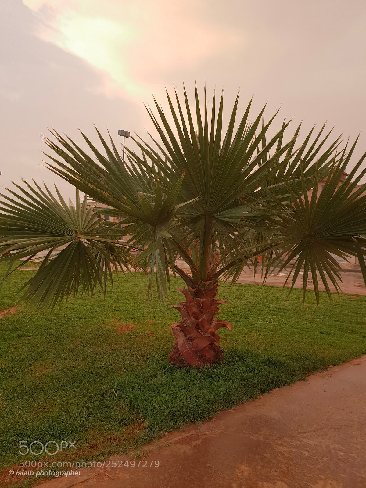 Samsung Galaxy S9+ sample photo. Untitled photography