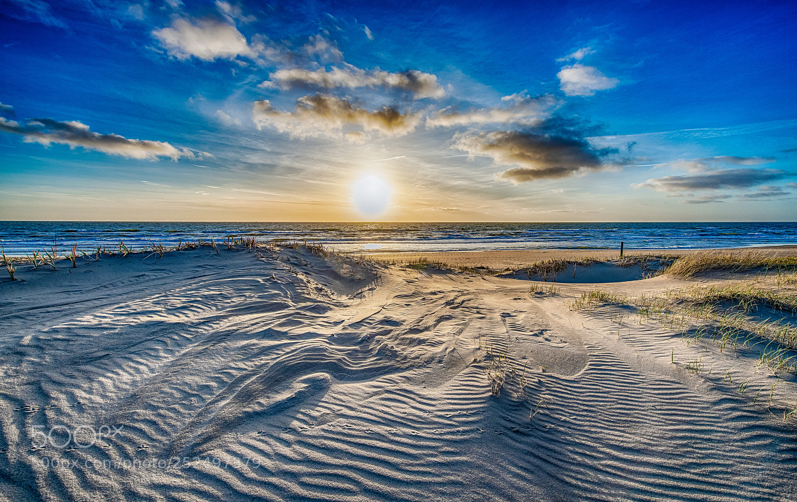Nikon D850 sample photo. Lines on the beach photography