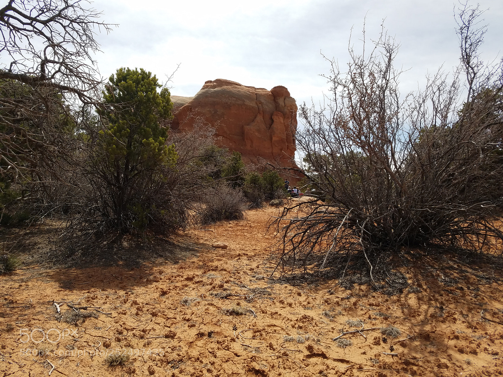 Samsung Galaxy S7 Edge sample photo. Cameo moab utah photography