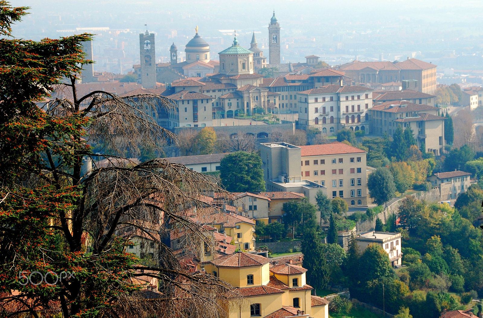 Nikon D80 sample photo. Bergamo alta photography