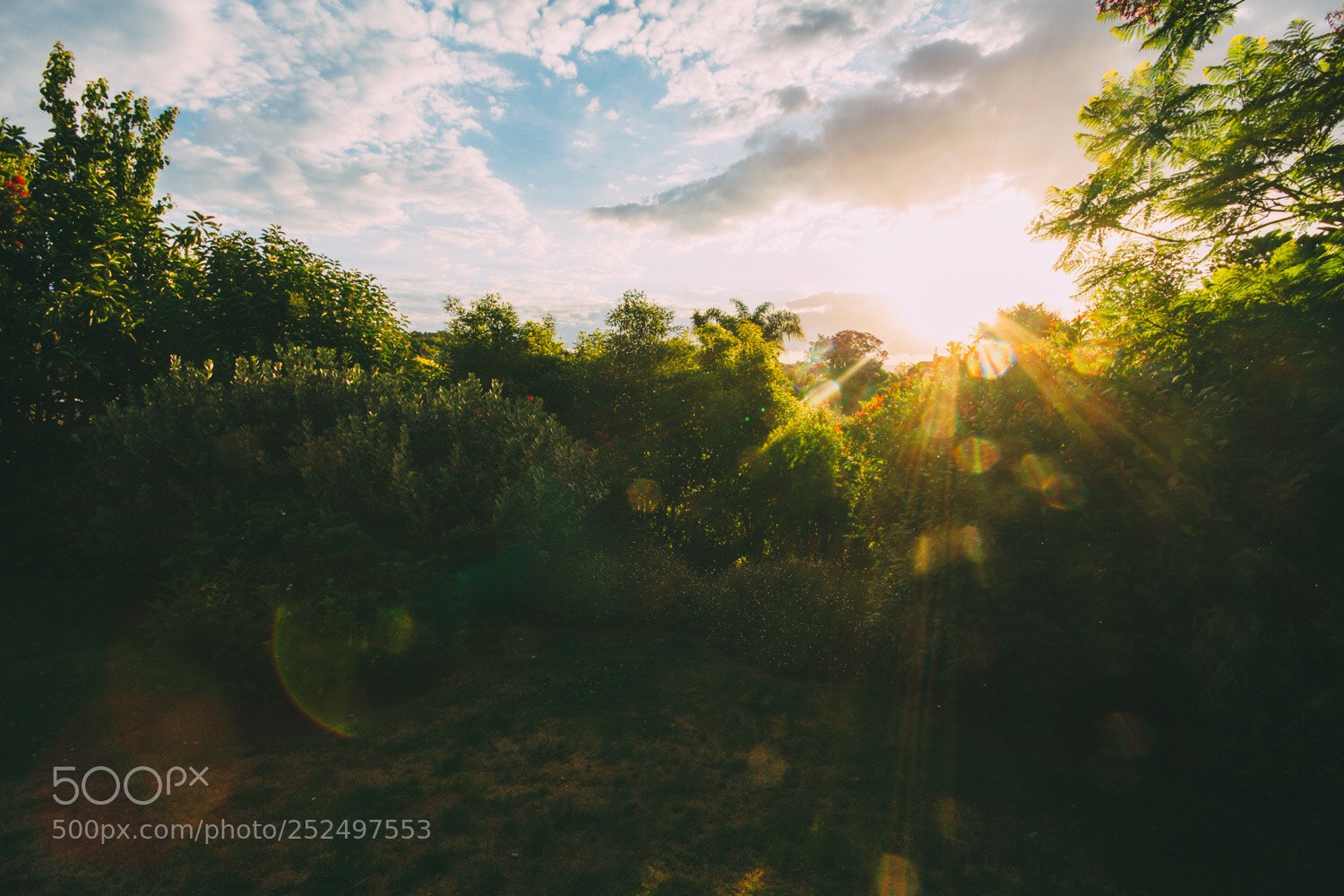 Canon EOS 7D sample photo. Ohauiti photography