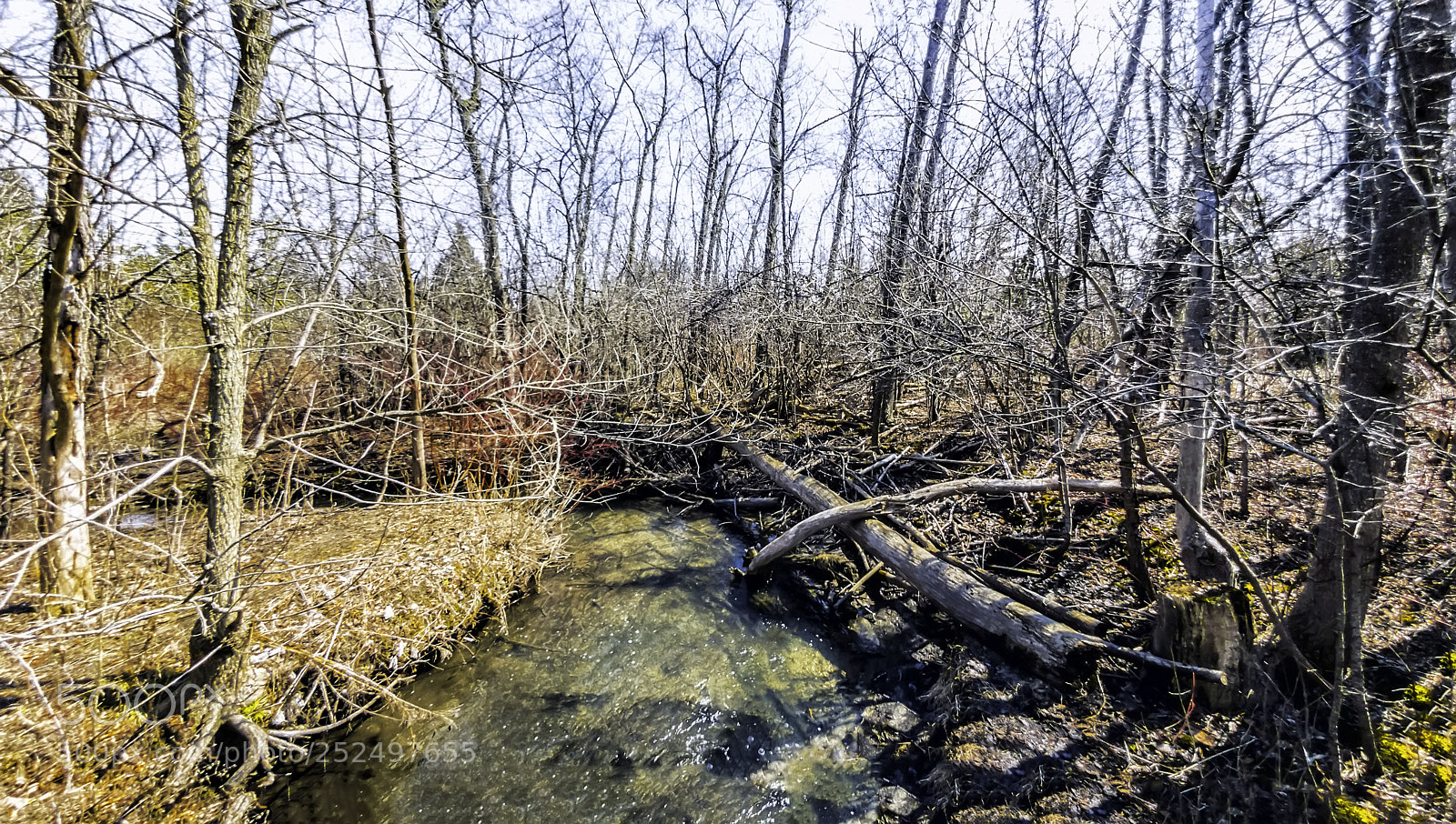 LG G5 sample photo. Mill pond park-richmond hill photography