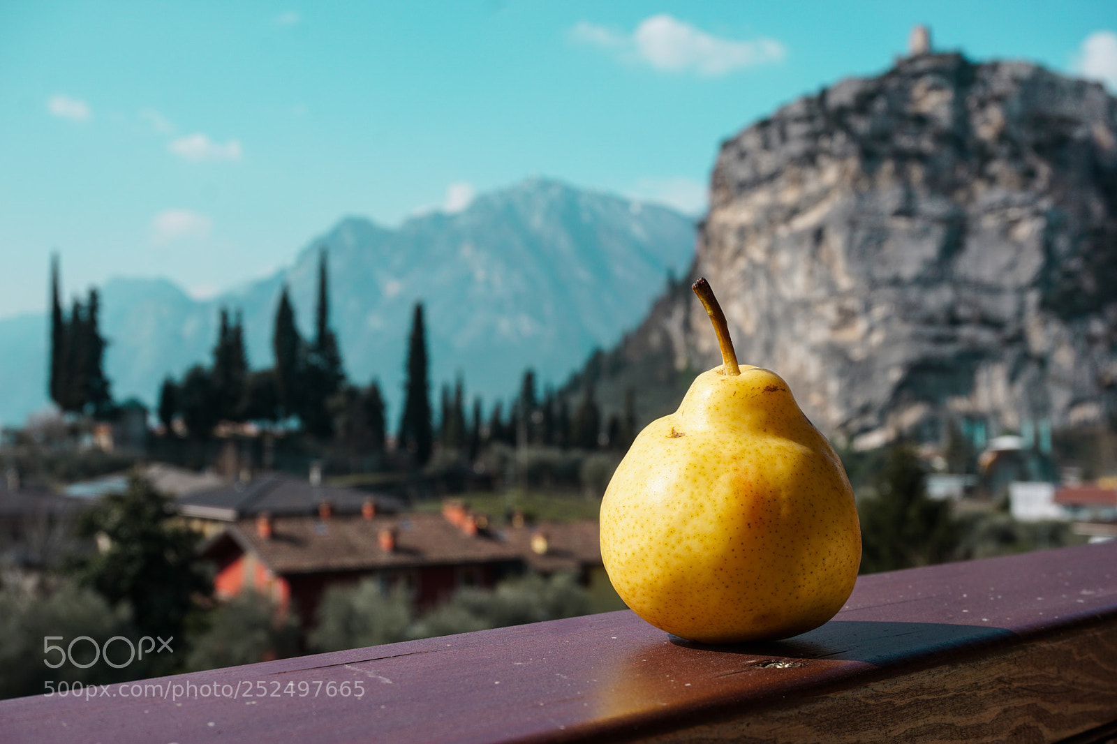 Sony a6000 sample photo. Dsc photography