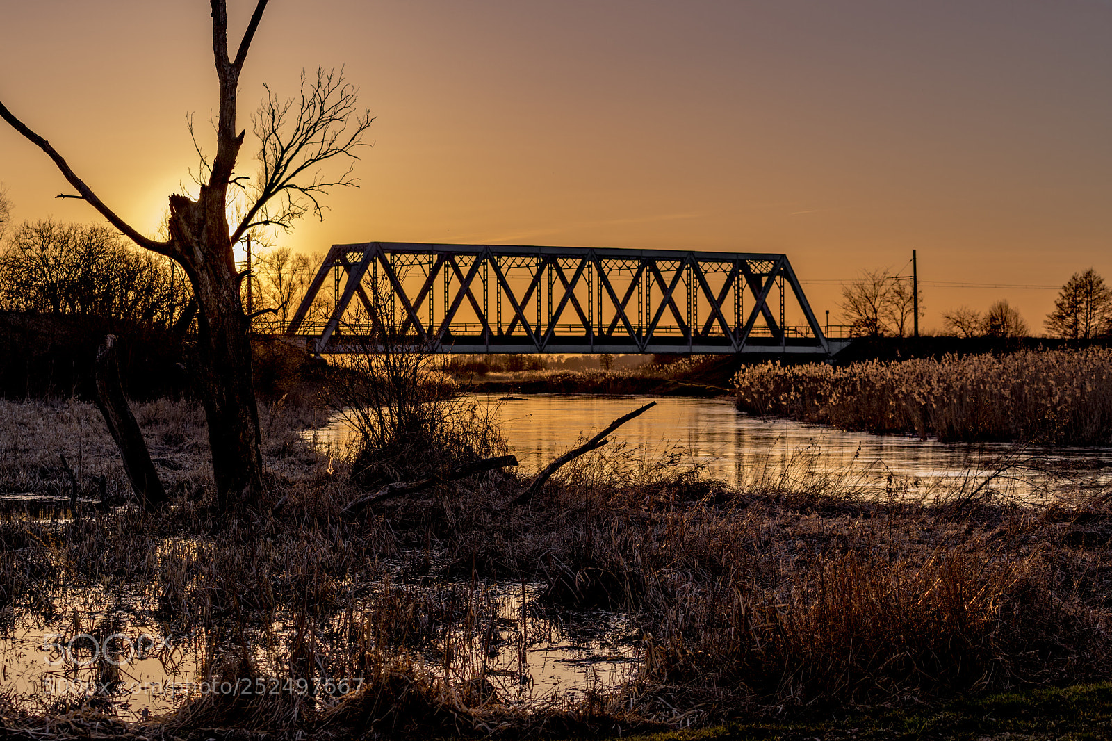 Nikon D850 sample photo. Bridge photography