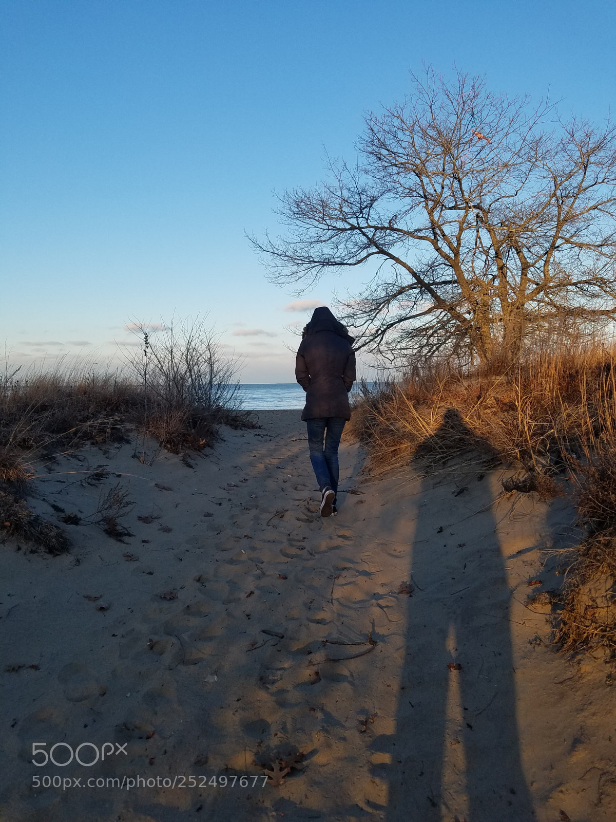 Samsung Galaxy S7 Edge sample photo. Chicago cold photography