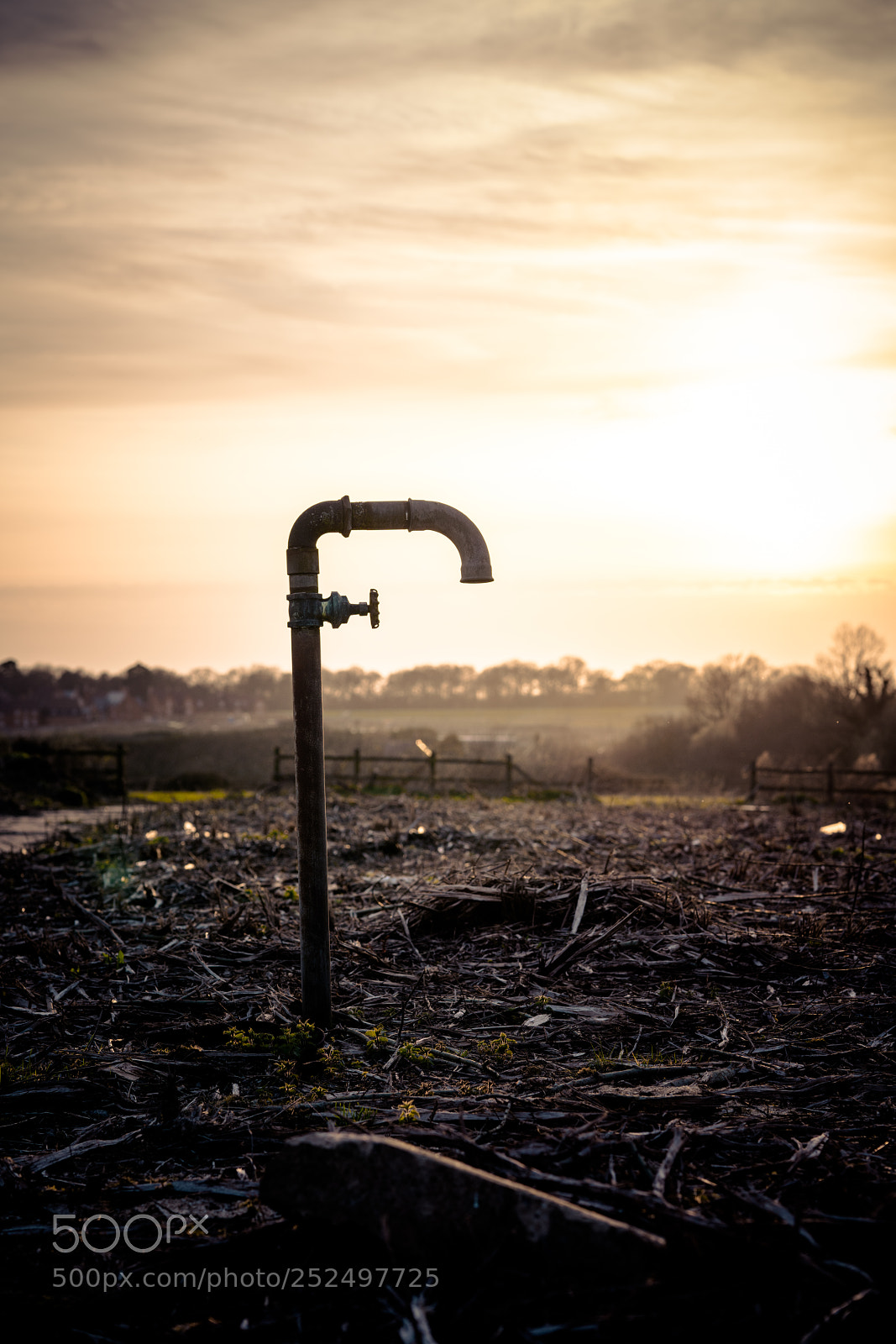 Sony a7R II sample photo. Dry photography
