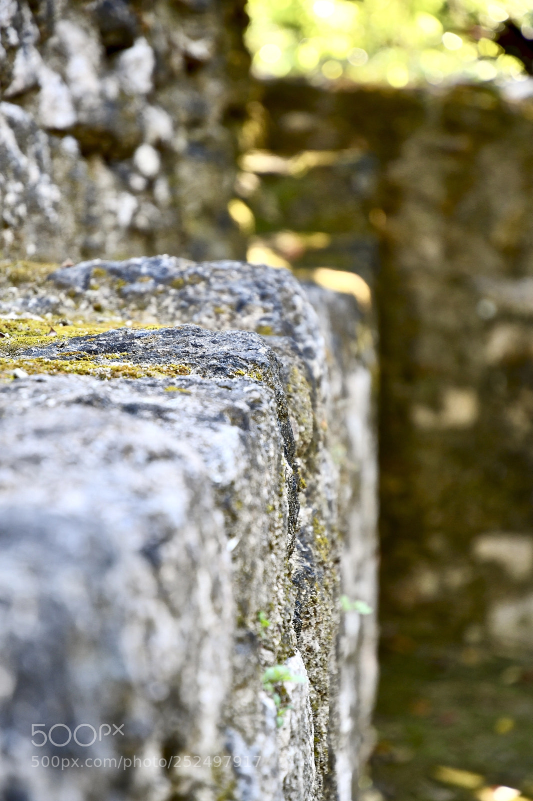 Nikon D7500 sample photo. Ancient step photography