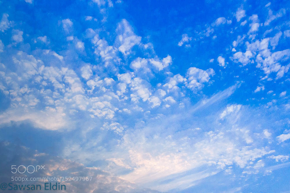 Canon EOS 70D sample photo. Untitled photography