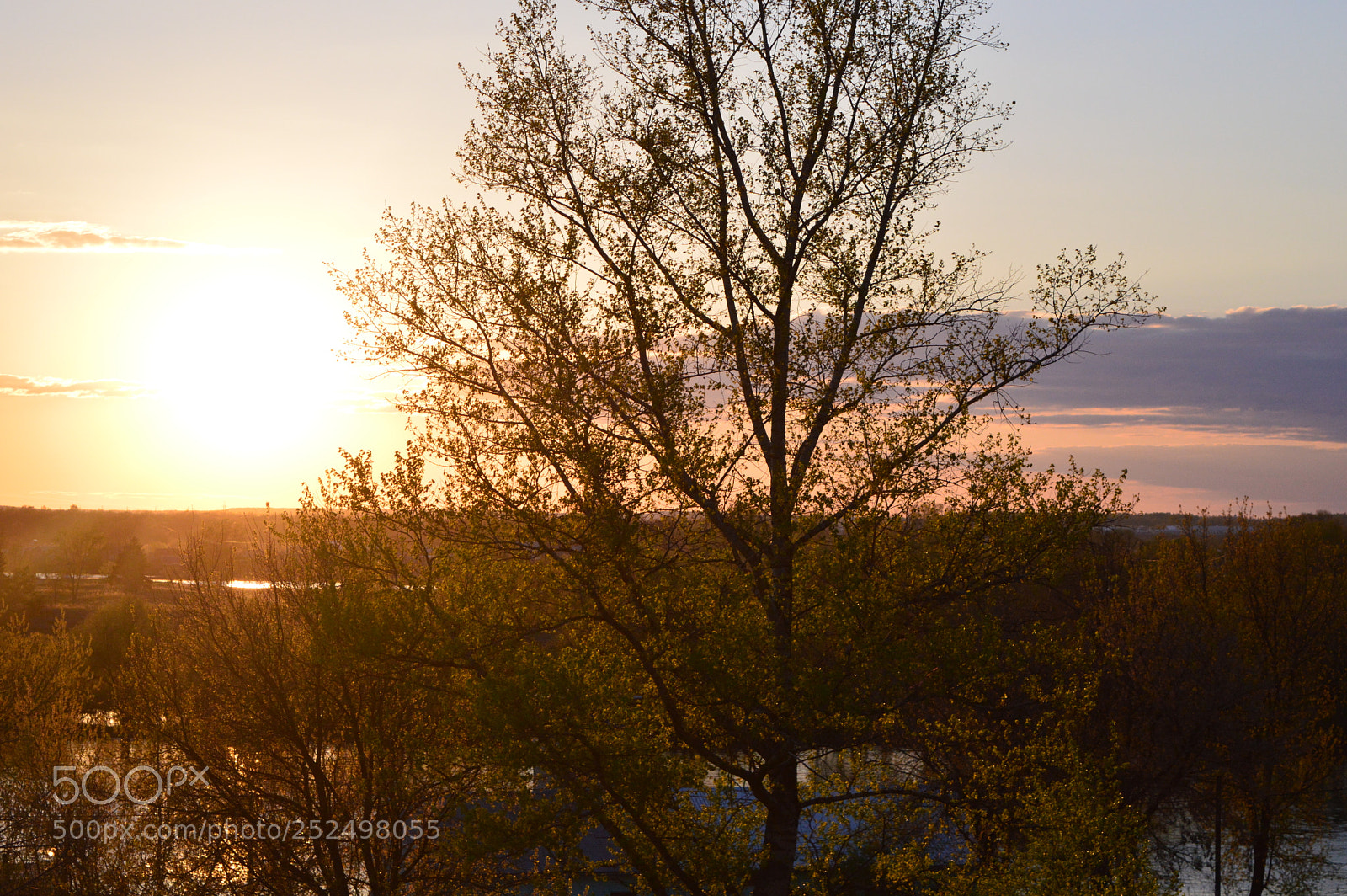 Nikon D3200 sample photo. Spring sunset photography