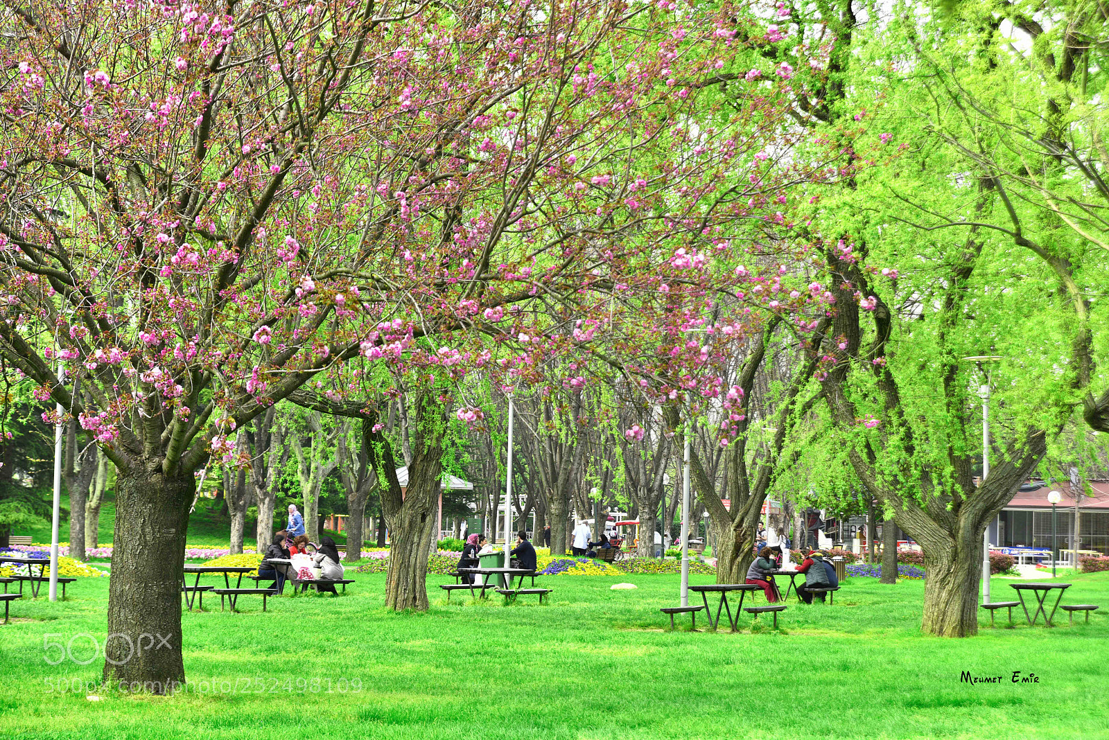 Nikon D810 sample photo. Bursa-botanic park photography