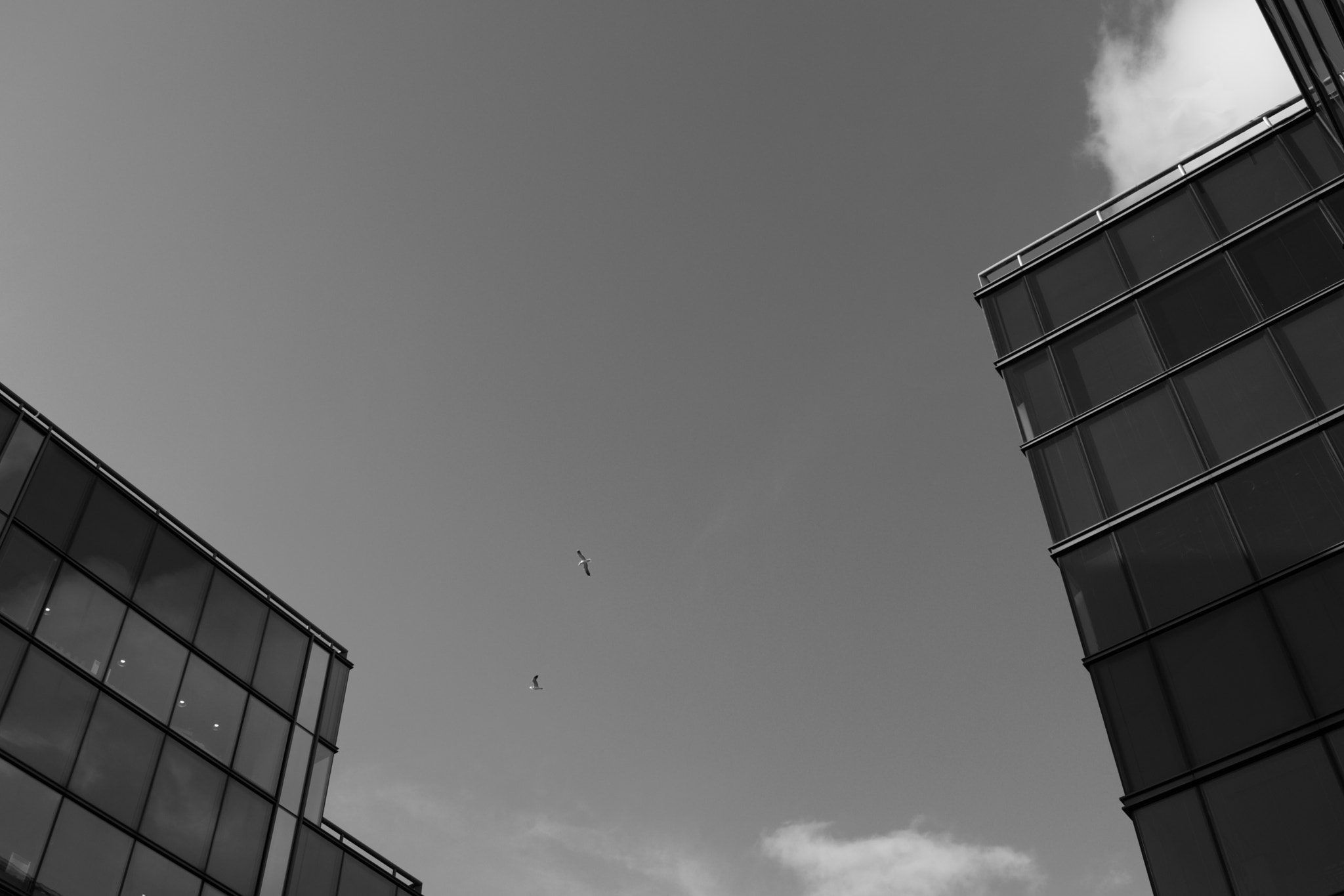 Canon EF-S 24mm F2.8 STM sample photo. Looking up - dublin office buildings photography