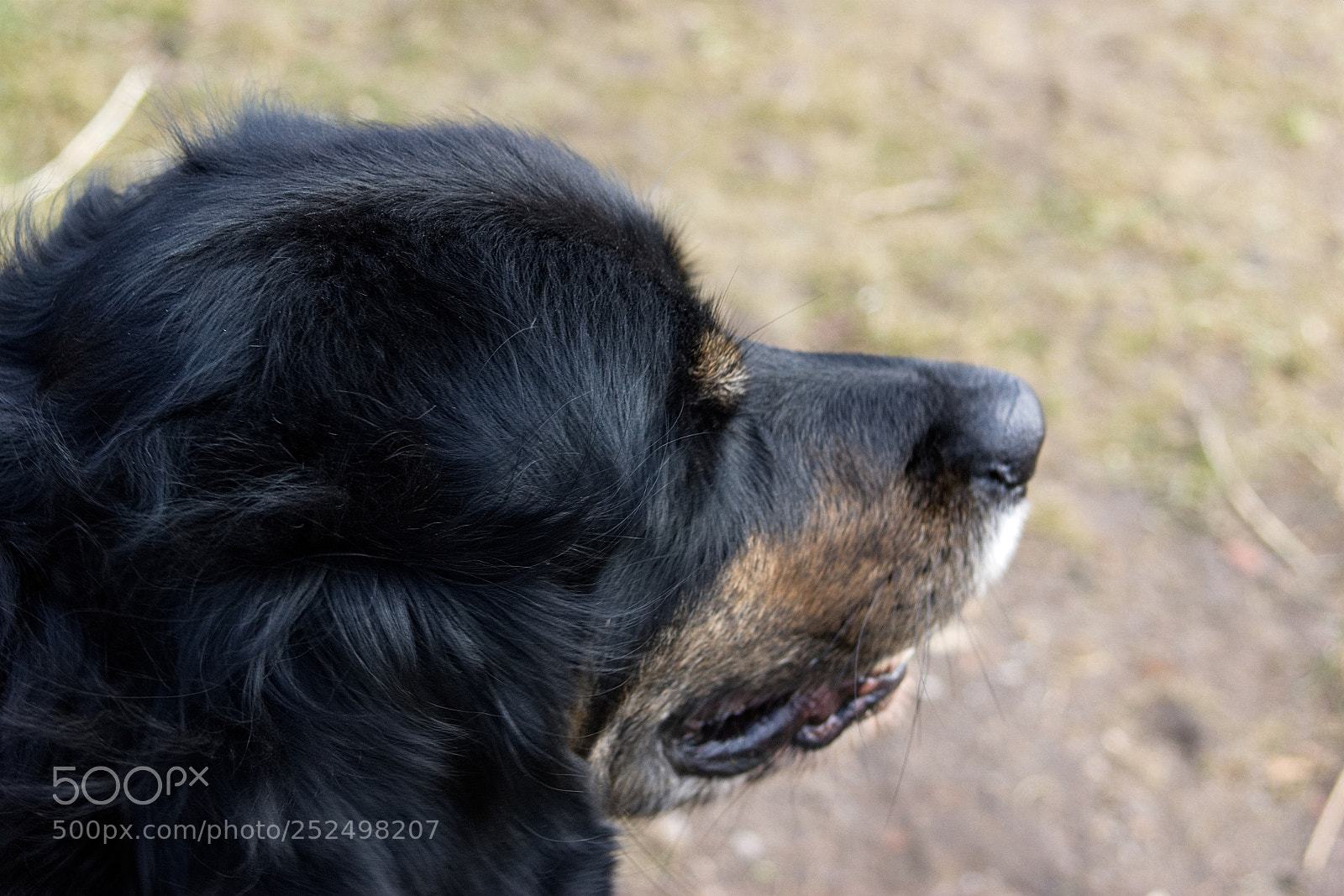 Sony Alpha DSLR-A350 sample photo. Boring  photography