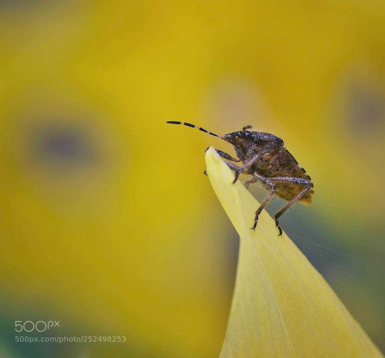 Nikon D3100 sample photo. . photography