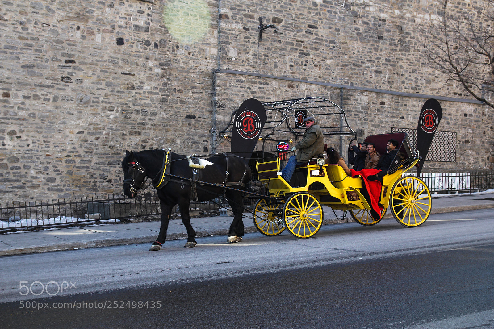 Canon EOS 60D sample photo. Horse drawn carriages photography
