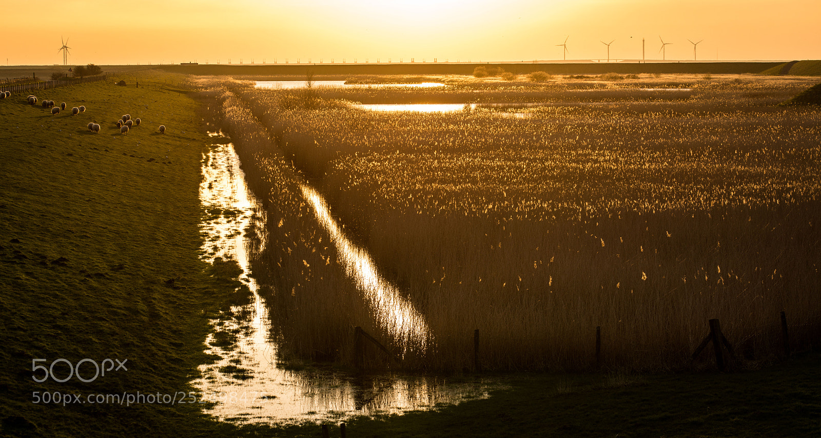 Nikon D800 sample photo. Rezervace photography