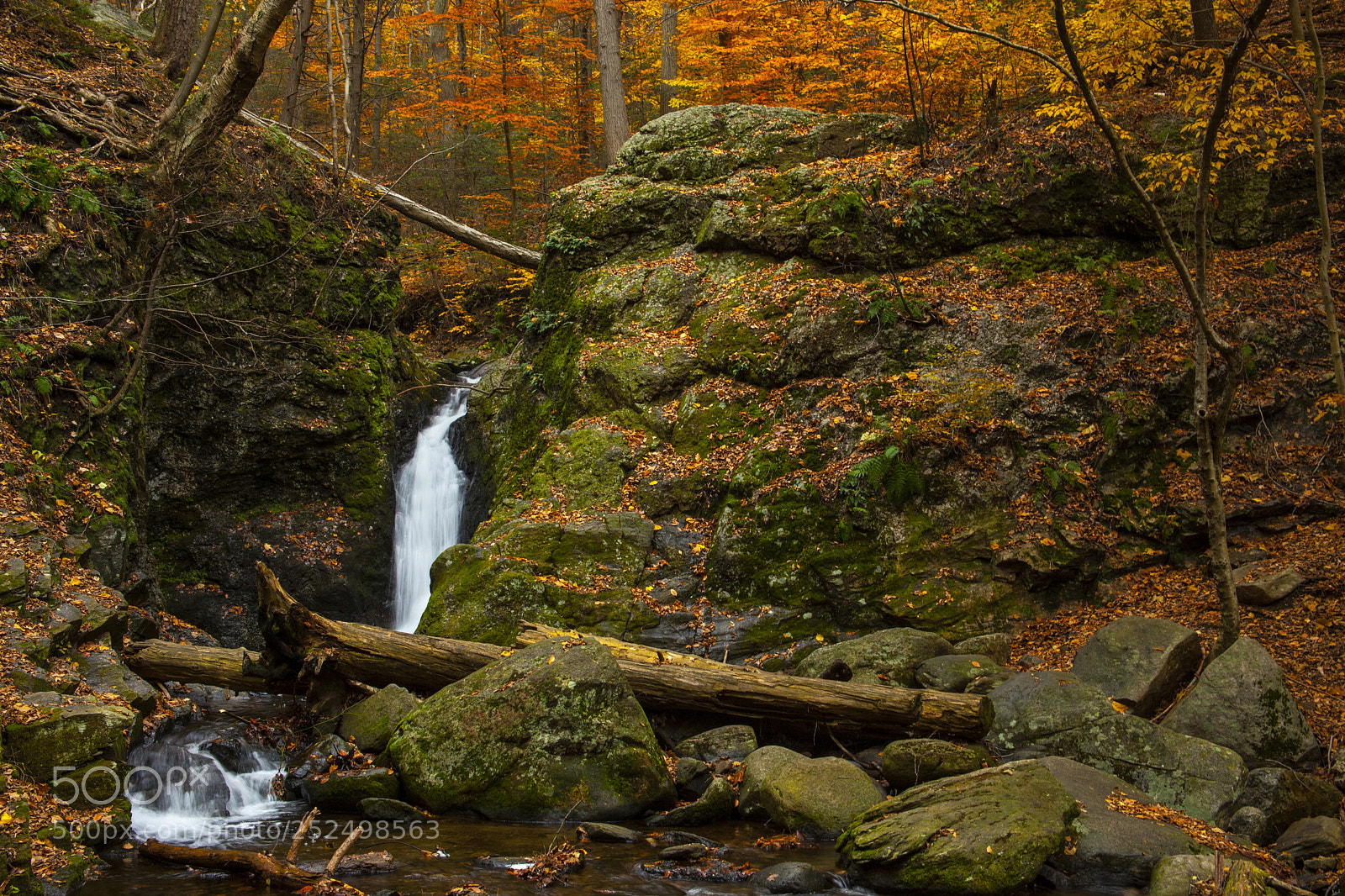 Canon EOS 5D Mark II sample photo. Autumn scene photography