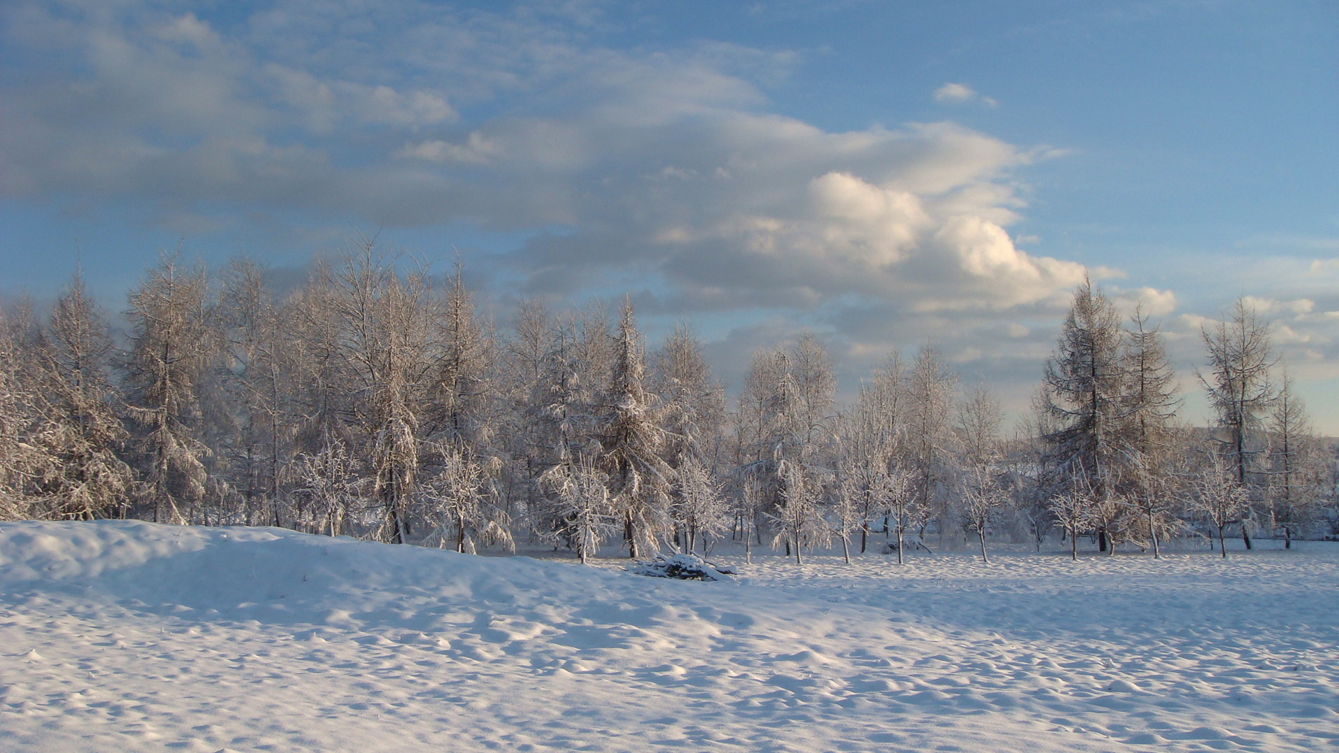 Sony DSC-T200 sample photo. Winter photography