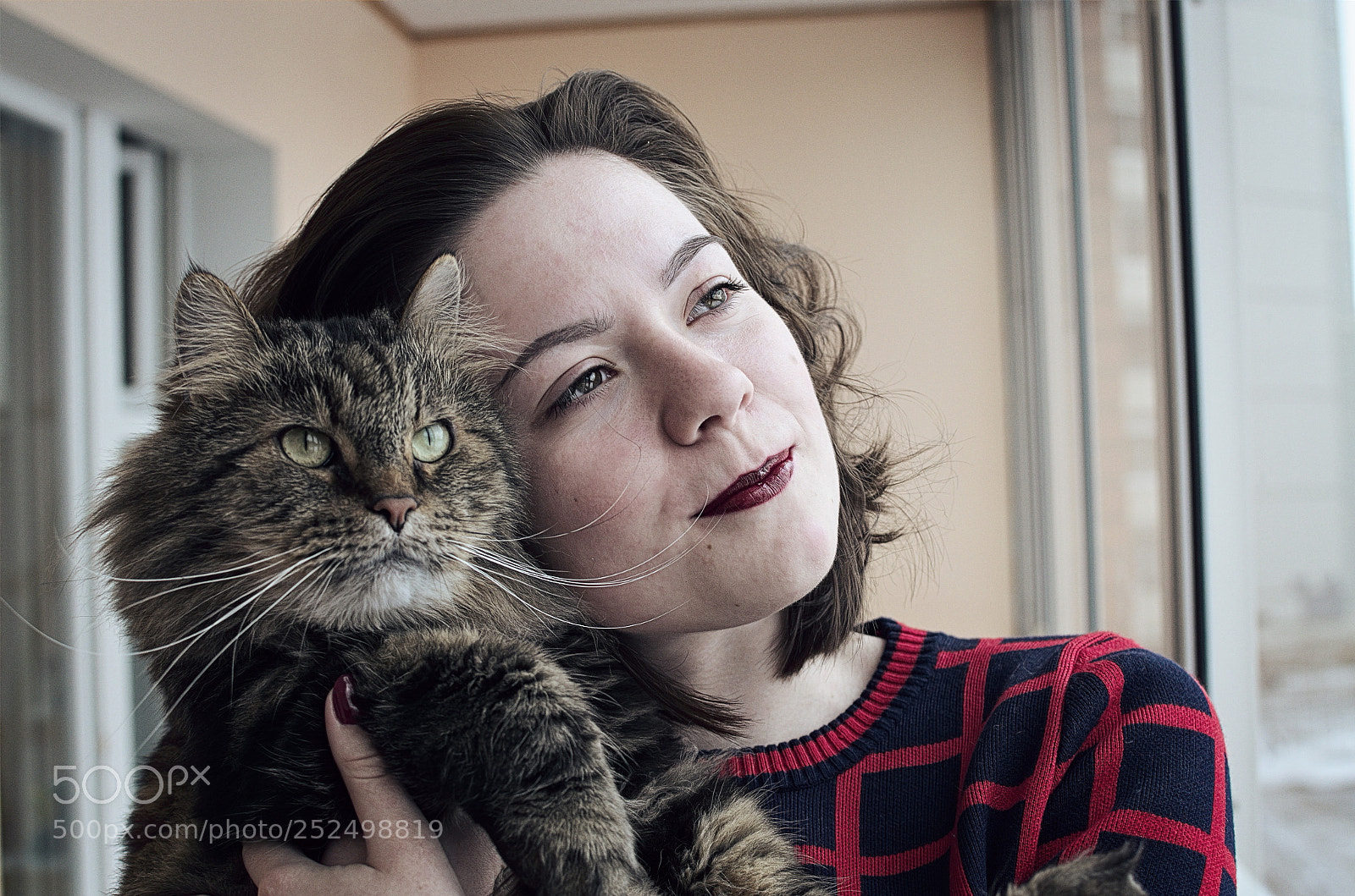 Nikon D5100 + Nikon AF-S DX Nikkor 35mm F1.8G sample photo. With cat photography