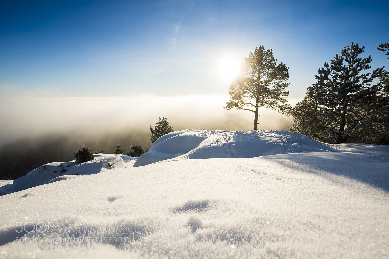 Sony a9 sample photo. Winter magic photography