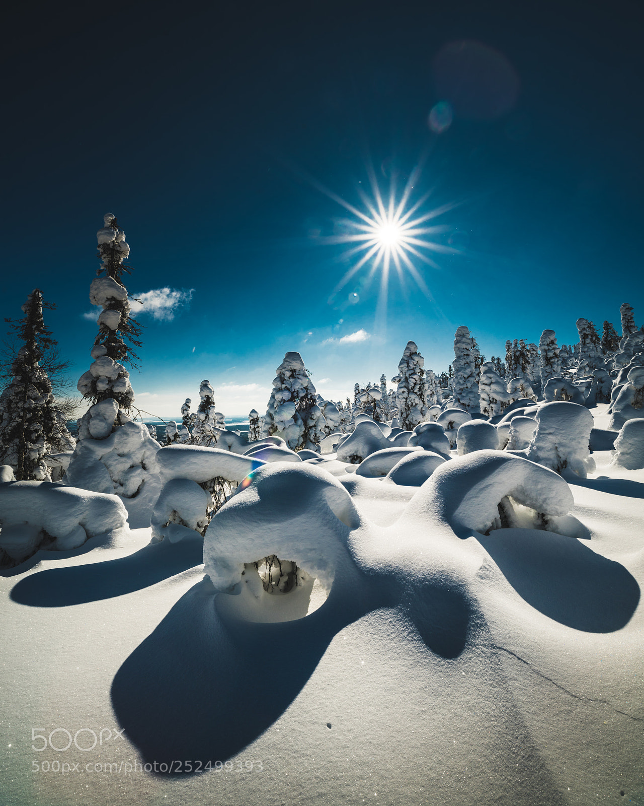 Sony a7R III sample photo. Winter wonderland in lapland photography