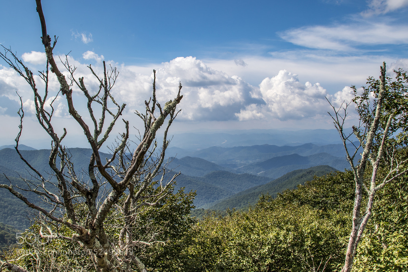 Canon EOS 7D Mark II sample photo. Travelling the parkway photography