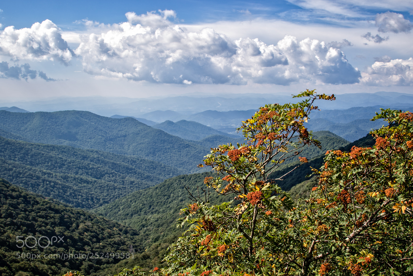 Canon EOS 7D Mark II sample photo. Travelling the parkway photography