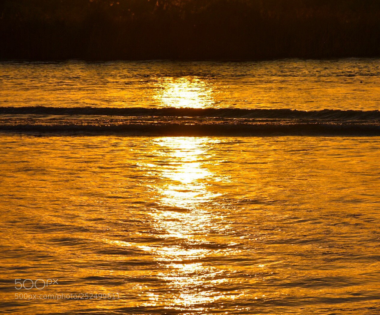 Nikon D7200 sample photo. Untitled photography