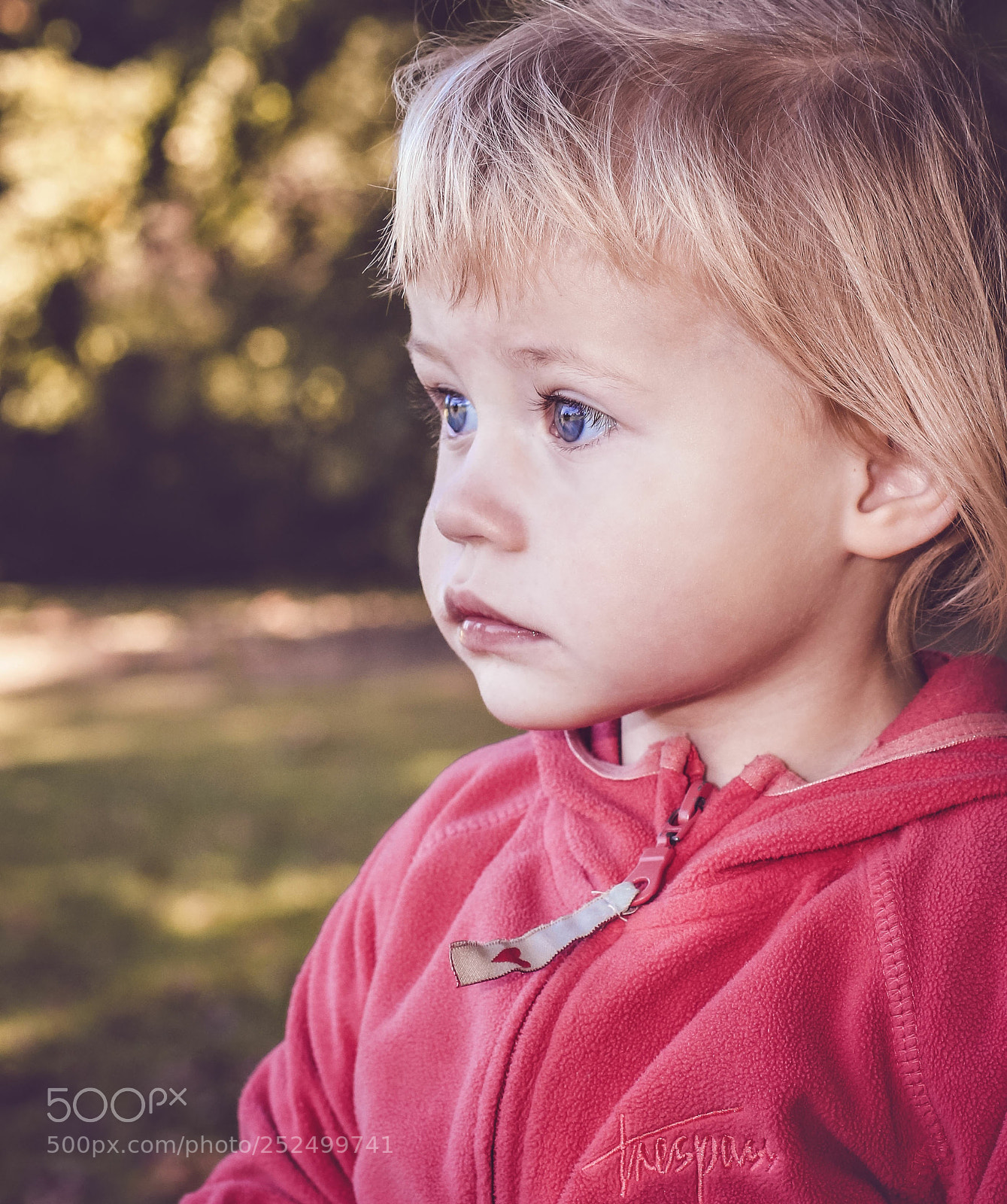 Canon EOS 60D sample photo. Untitled photography