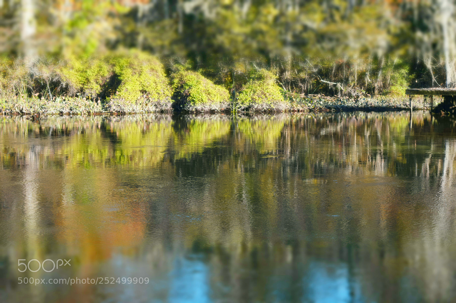 Nikon D3300 sample photo. Rivers reflection 2 photography
