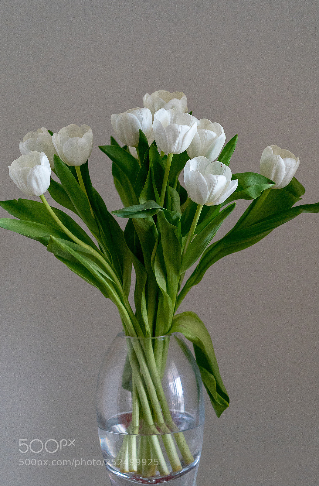 Sony a9 sample photo. Flowers by lynden photography