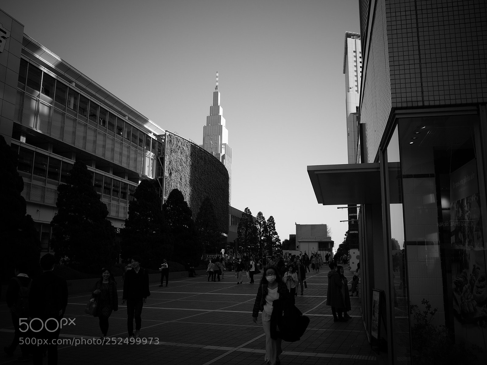 Ricoh GR II sample photo. Shinjuku photography