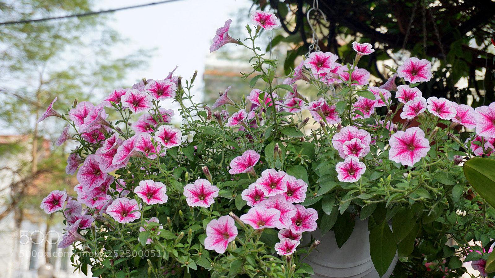 Sony a6000 sample photo. Dsc photography