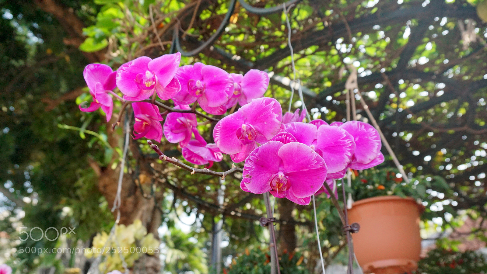 Sony a6000 sample photo. Dsc photography