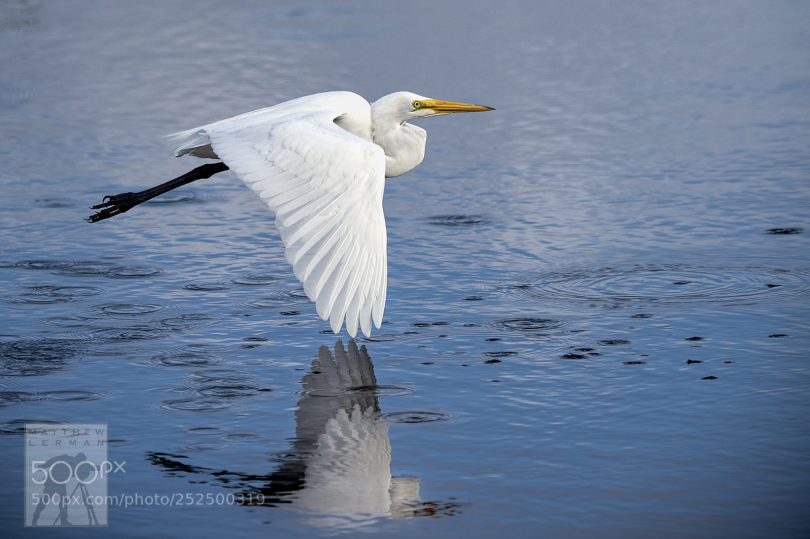 Nikon D810 sample photo. Morning reflection 1760 photography