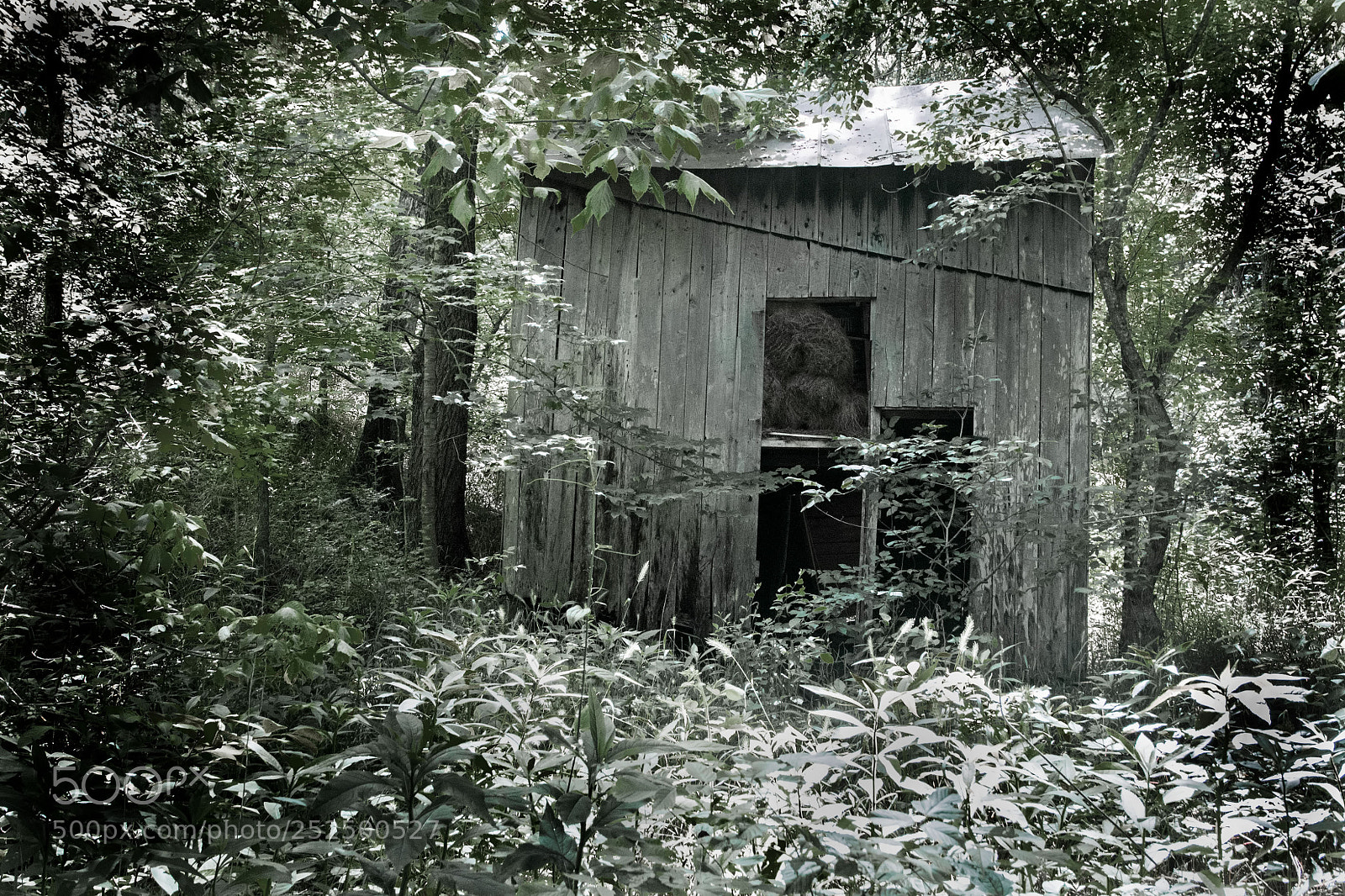 Nikon D500 sample photo. Portraits of ordinary architecture 189 photography