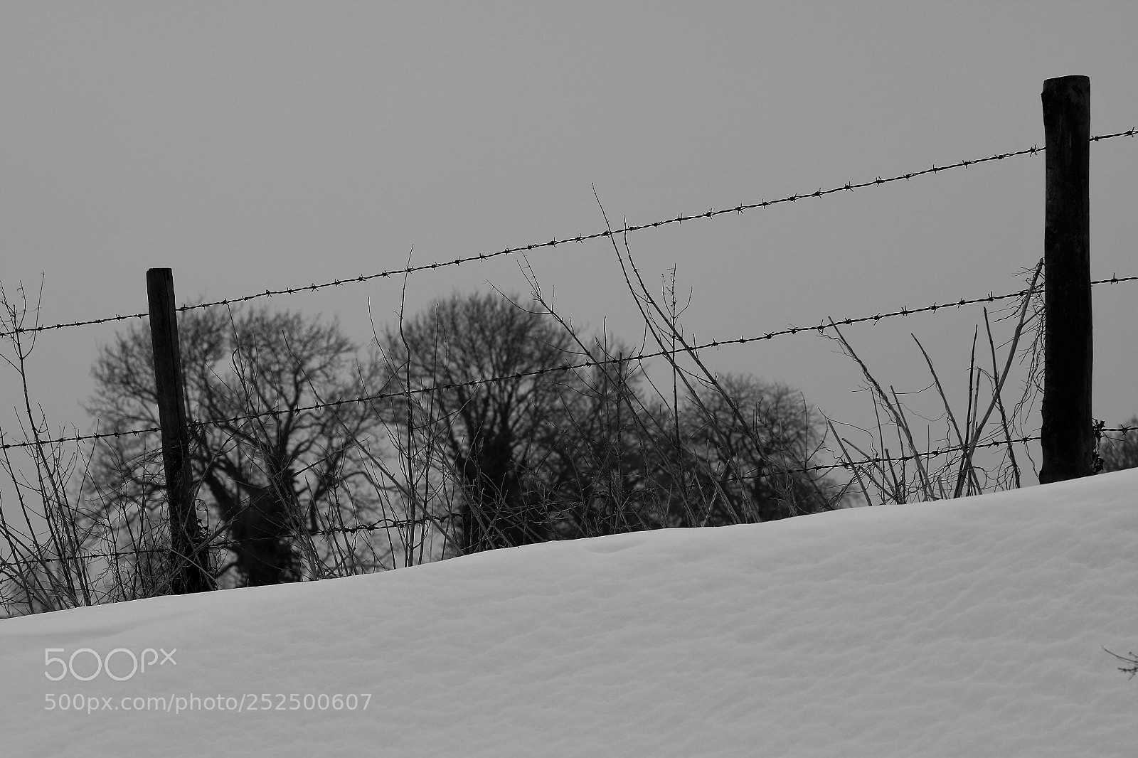 Canon EOS 750D (EOS Rebel T6i / EOS Kiss X8i) sample photo. Img photography
