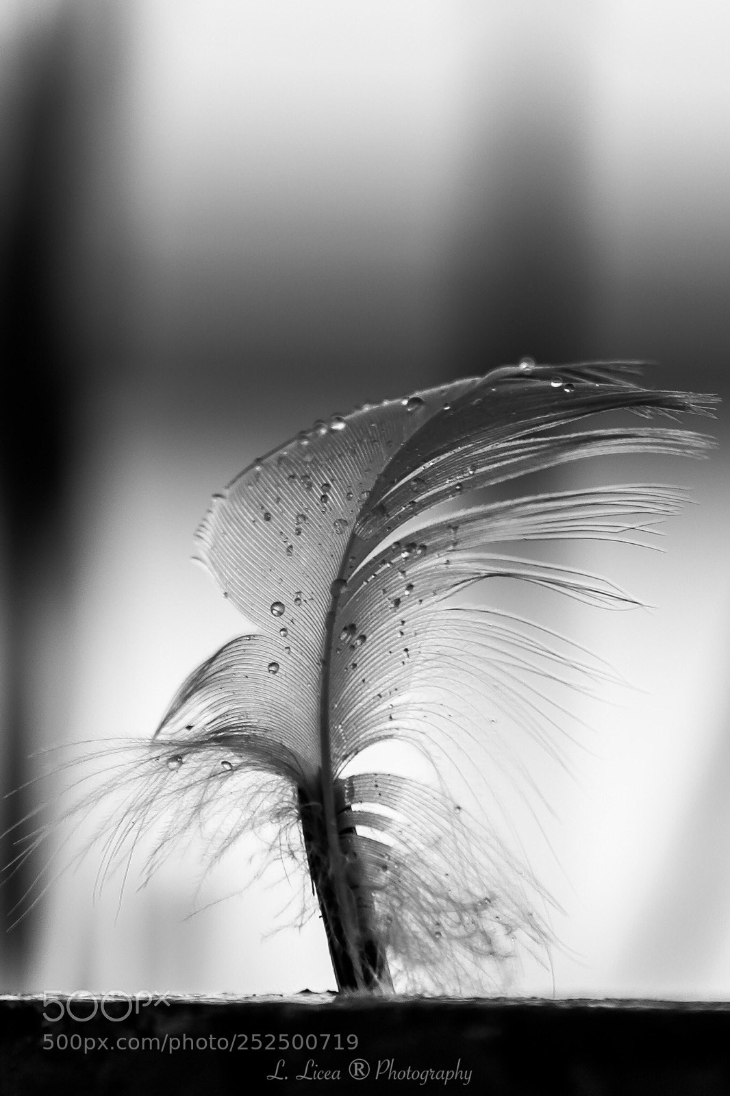 Canon EOS 6D Mark II sample photo. Time drops  photography