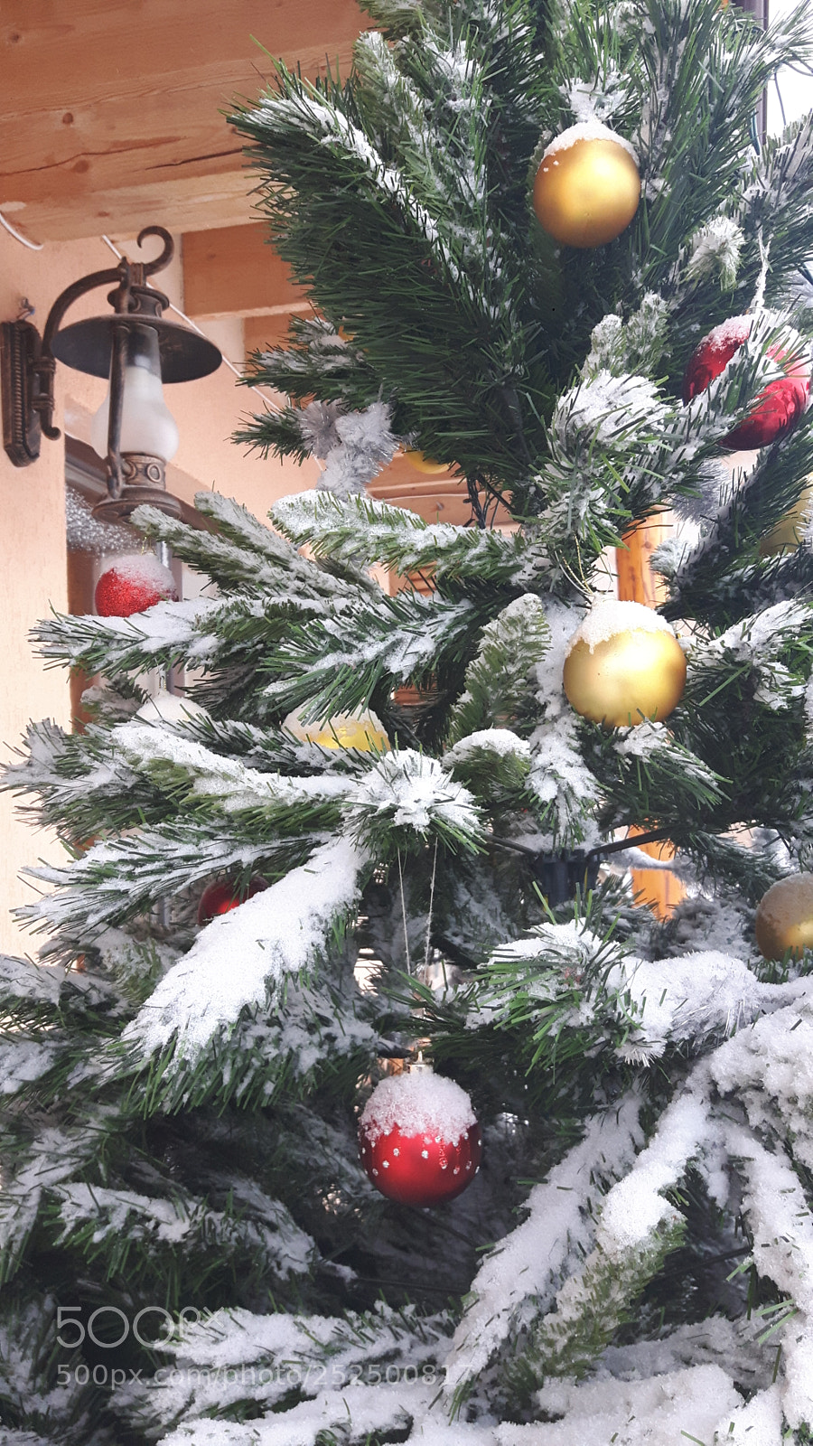 Samsung Galaxy S5 Neo sample photo. Christmass tree photography