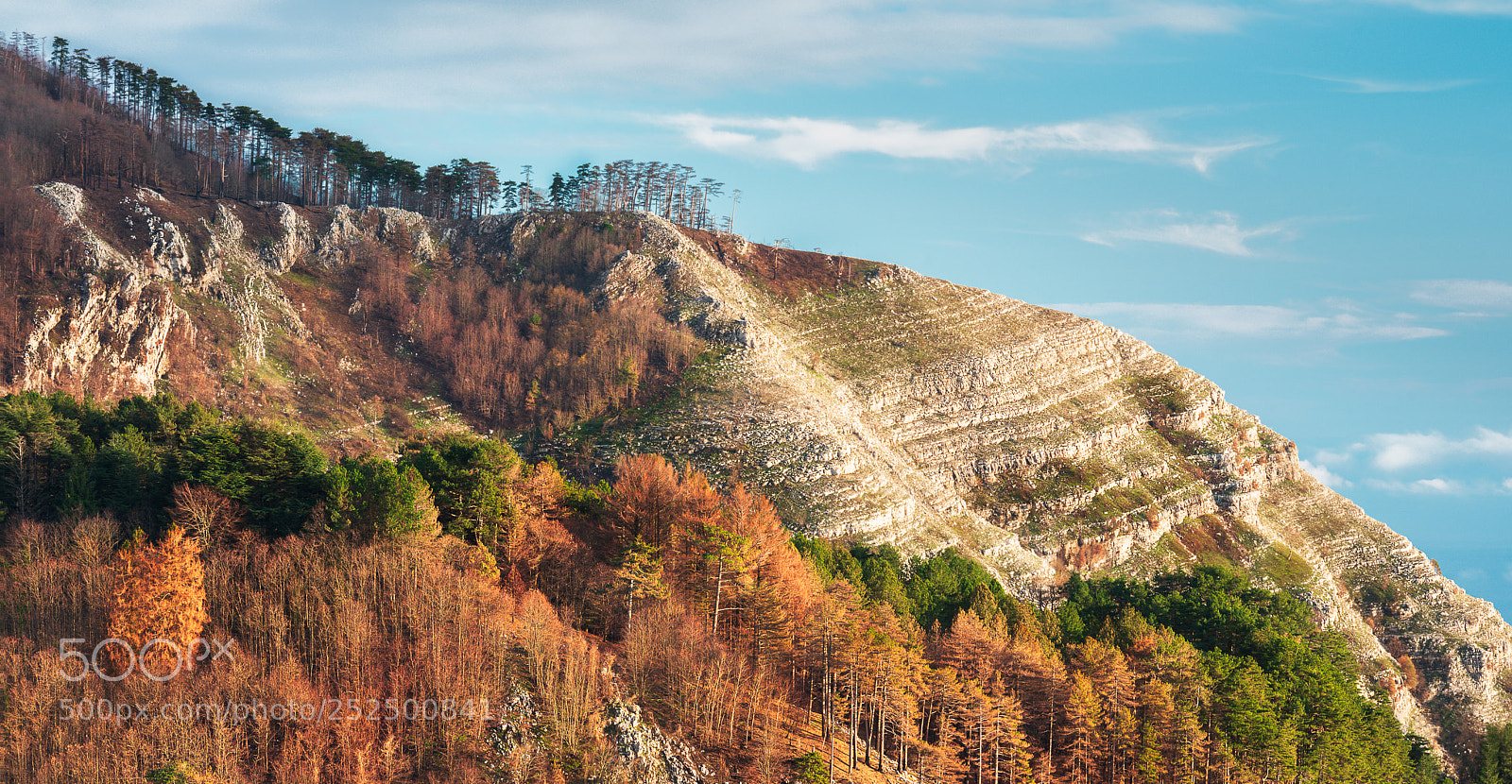 Nikon D800 sample photo. Winter colour photography