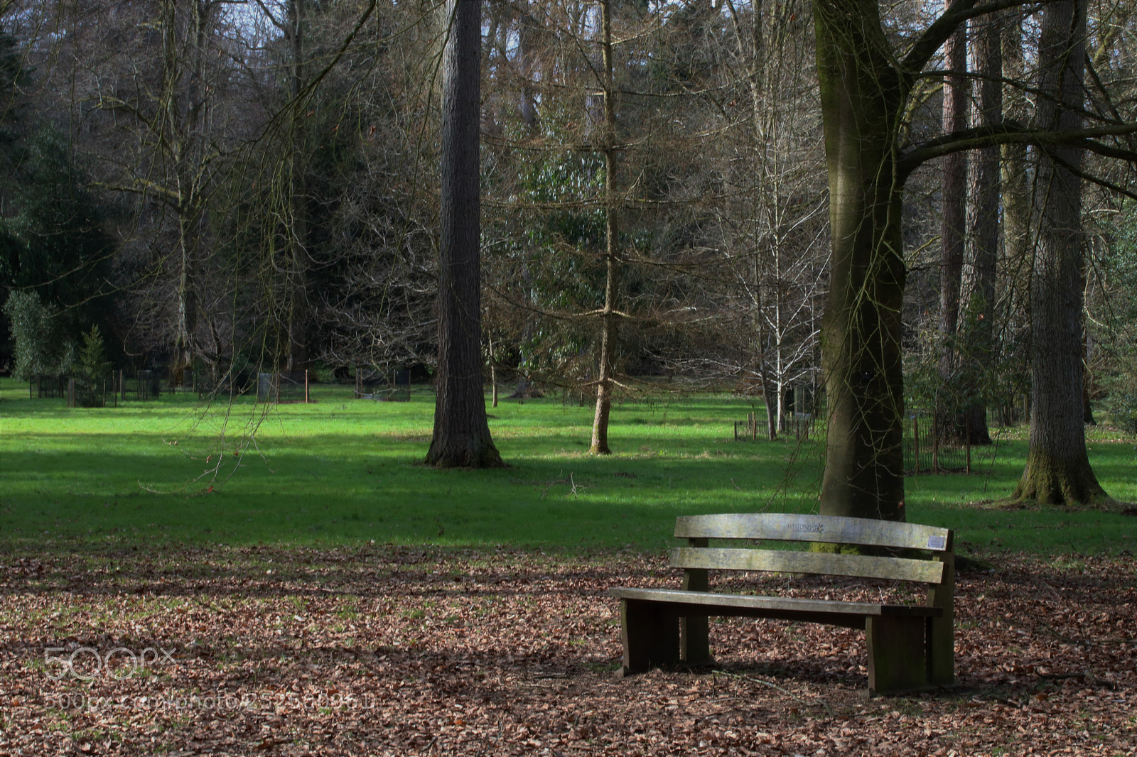 Canon EOS 750D (EOS Rebel T6i / EOS Kiss X8i) sample photo. Park land photography