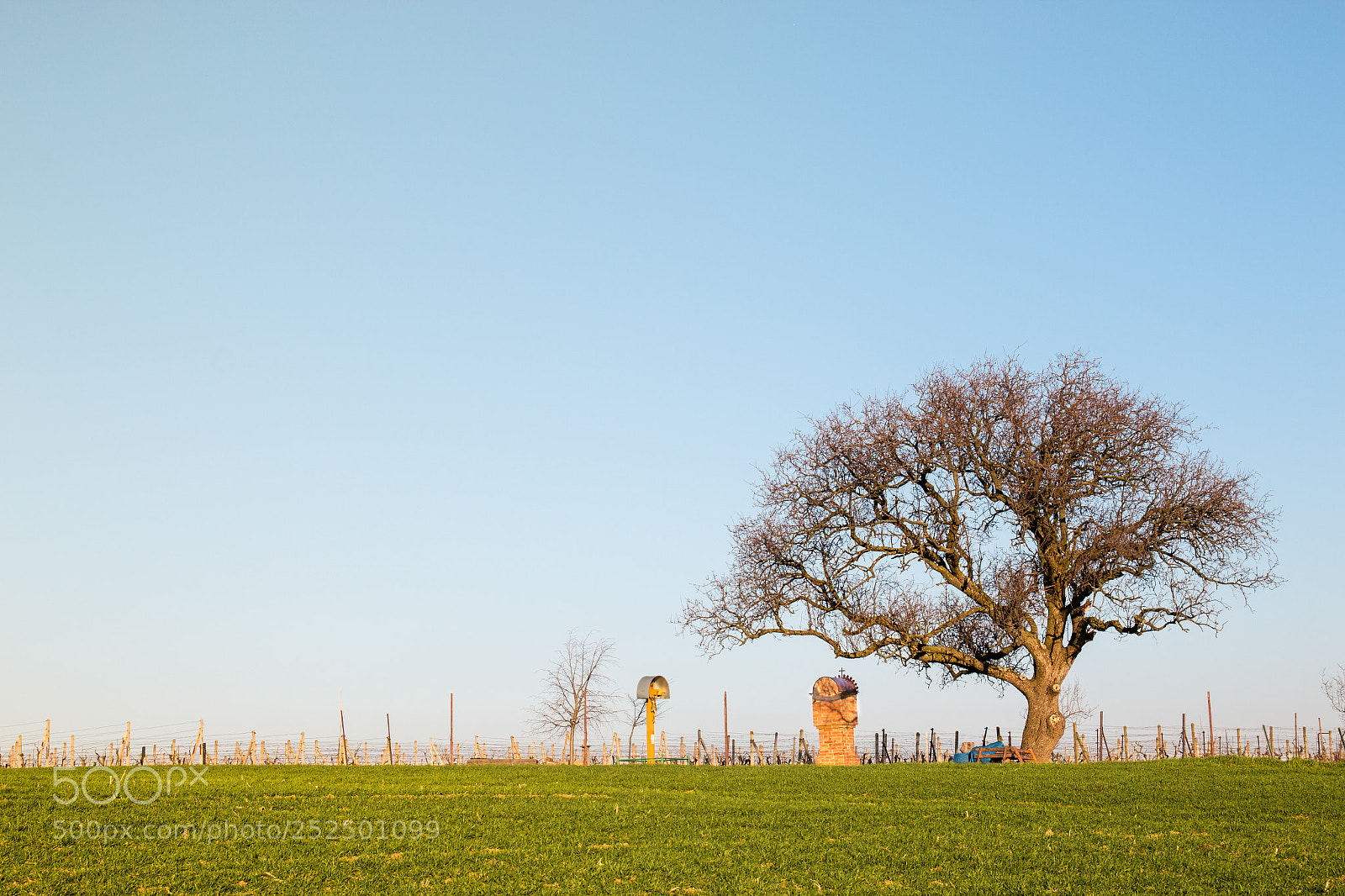 Canon EOS 70D sample photo. Tree in a field photography