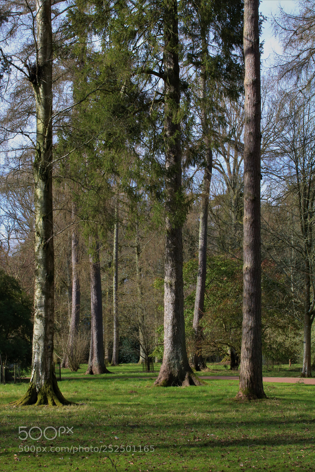 Canon EOS 750D (EOS Rebel T6i / EOS Kiss X8i) sample photo. Park land photography