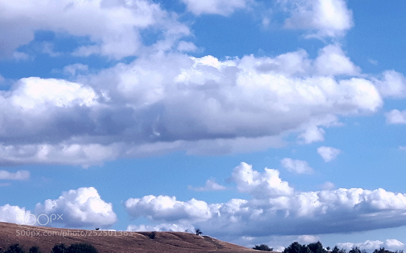 Samsung Galaxy S5 Neo sample photo. Cloudy photography
