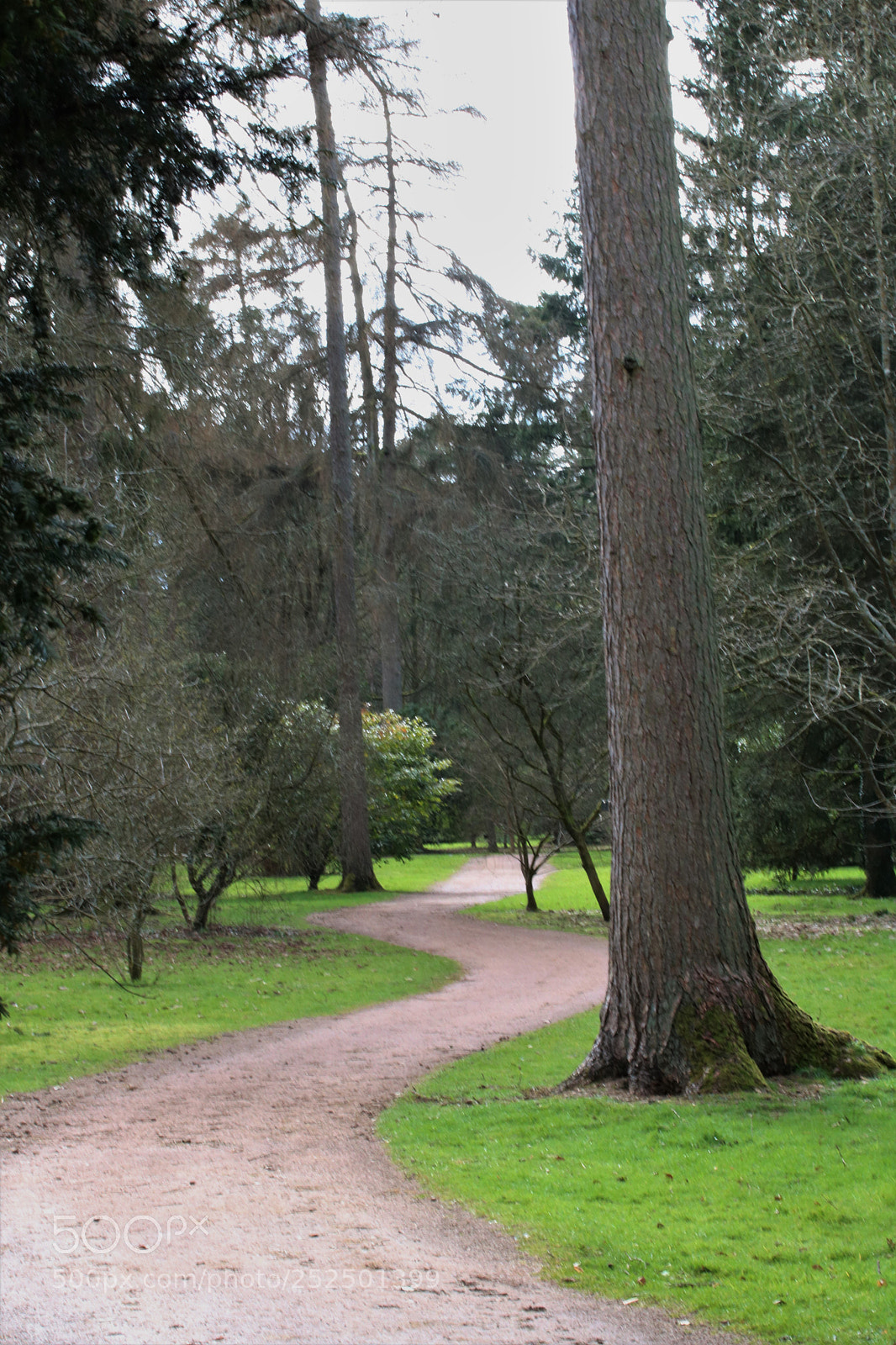 Canon EOS 750D (EOS Rebel T6i / EOS Kiss X8i) sample photo. Park land photography